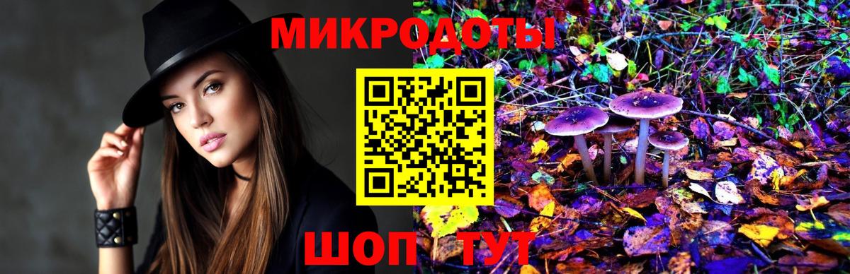 Псилоцибиновые грибы Psilocybine cubensis Реж